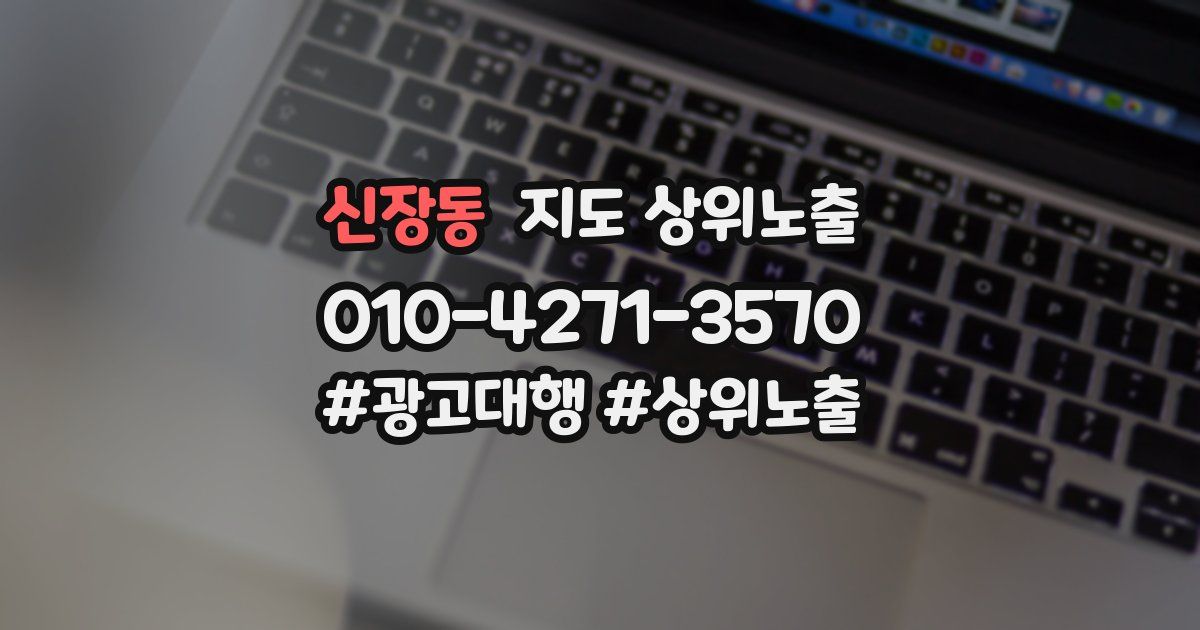 신장동 지도 상위 노출
