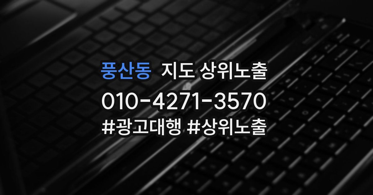 풍산동 지도 상위 노출