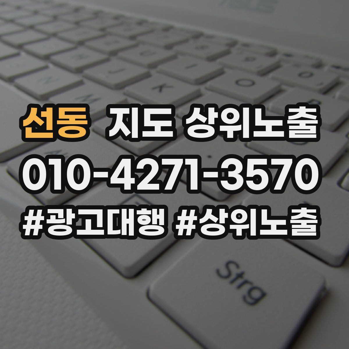 선동 지도 상위 노출