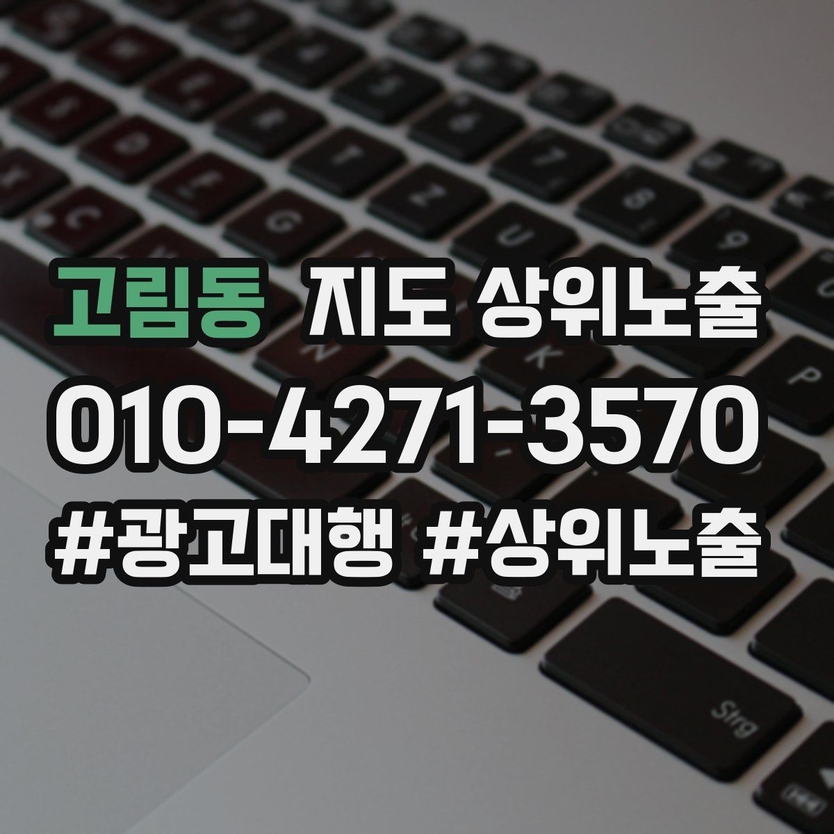 고림동 지도 상위 노출