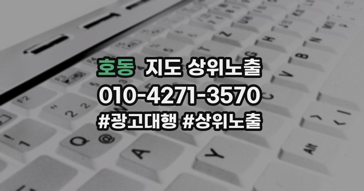 호동 지도 상위 노출