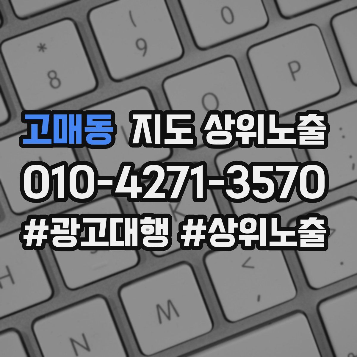 고매동 지도 상위 노출