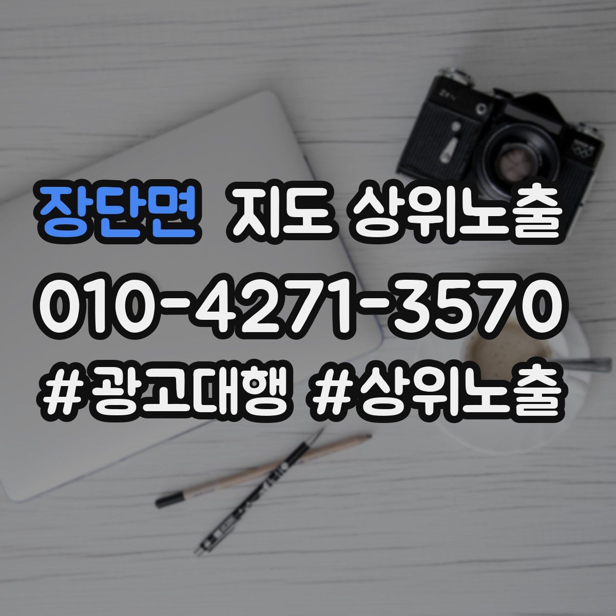 장단면 지도 상위 노출