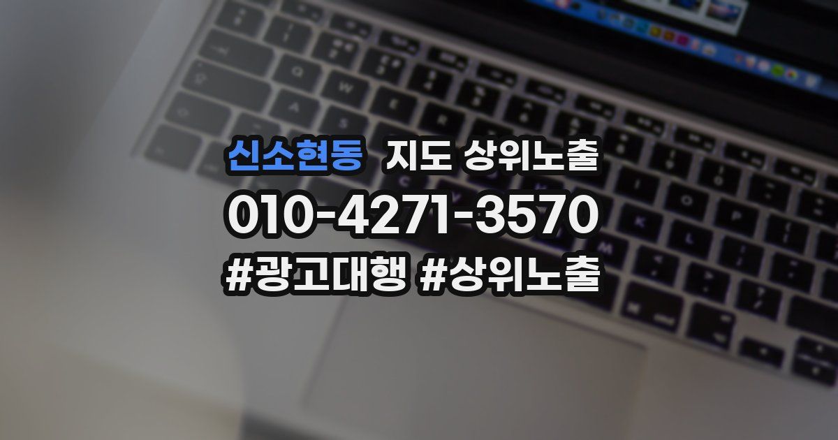 신소현동 지도 상위 노출