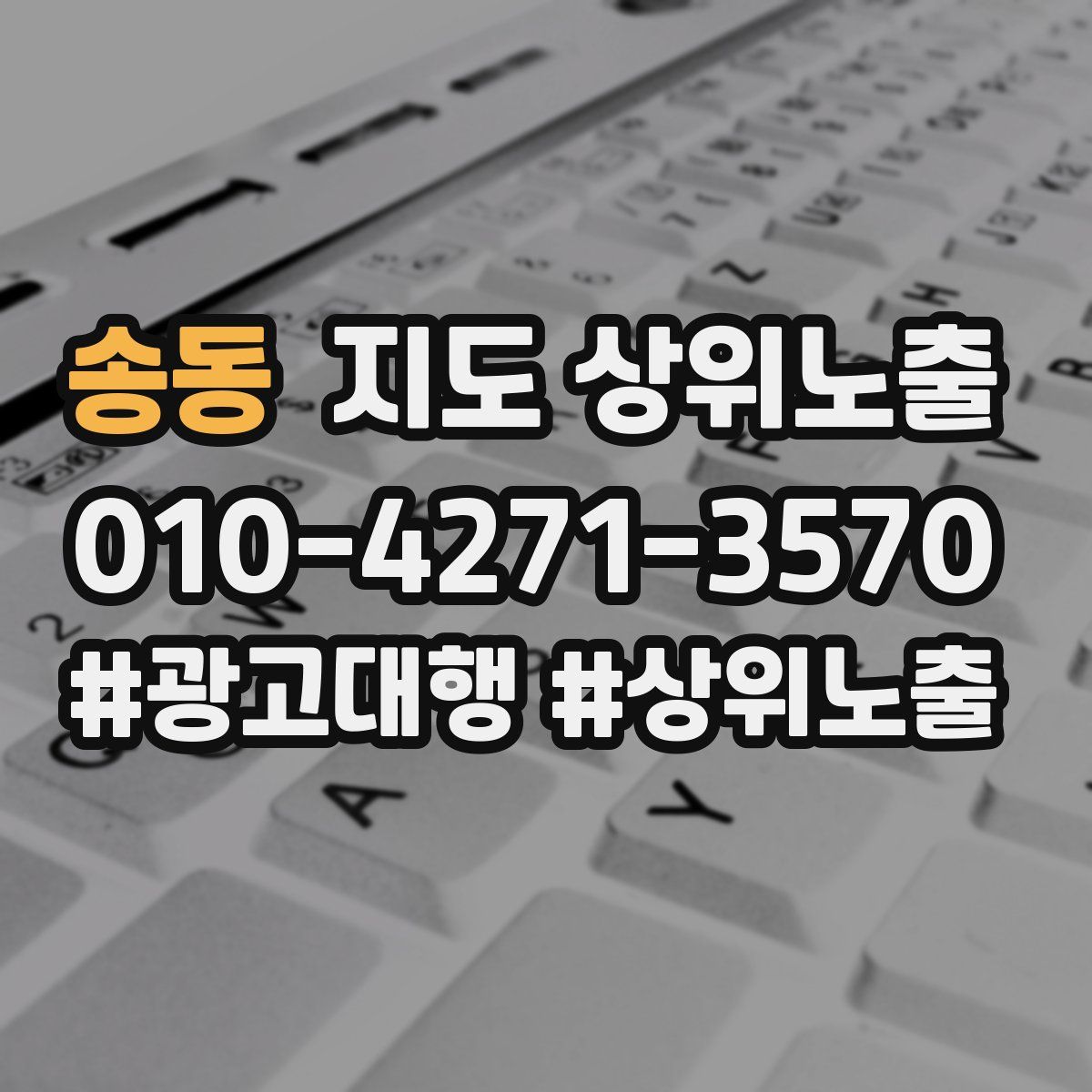 송동 지도 상위 노출