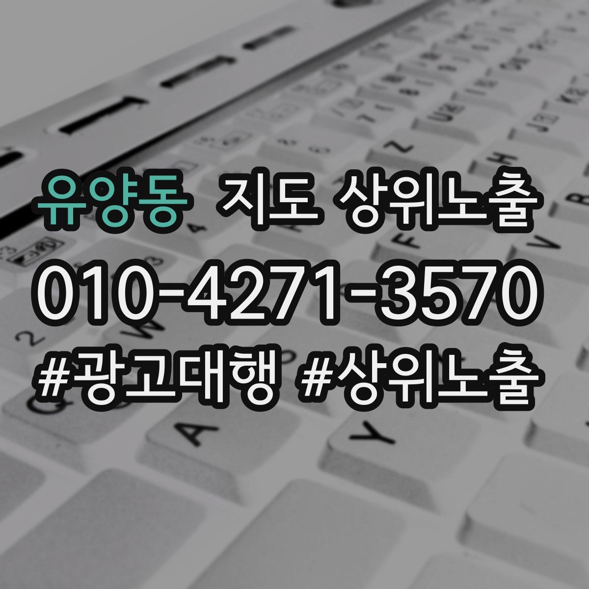 유양동 지도 상위 노출