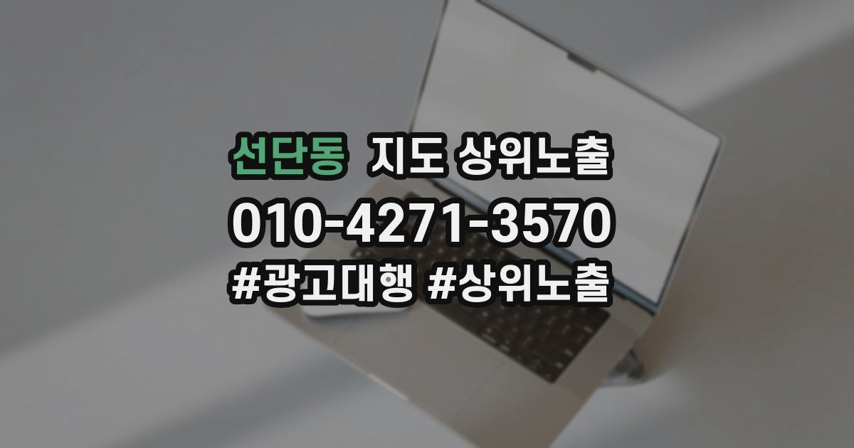 선단동 지도 상위 노출