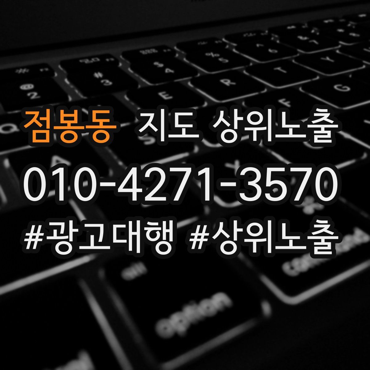 점봉동 지도 상위 노출
