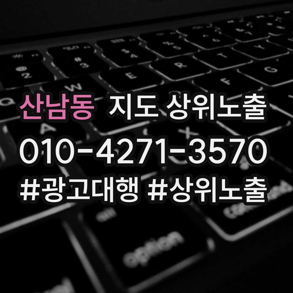 산남동 지도 상위 노출