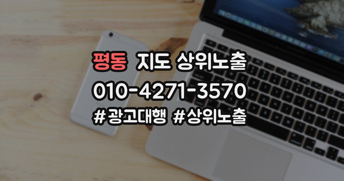 평동 지도 상위 노출