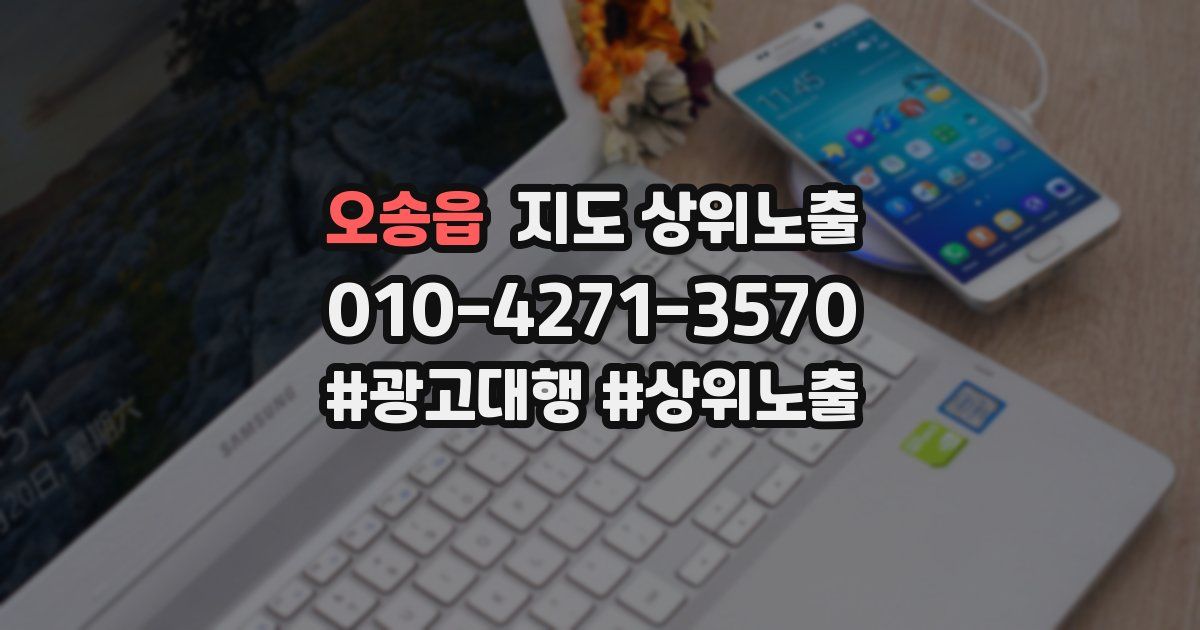 오송읍 지도 상위 노출