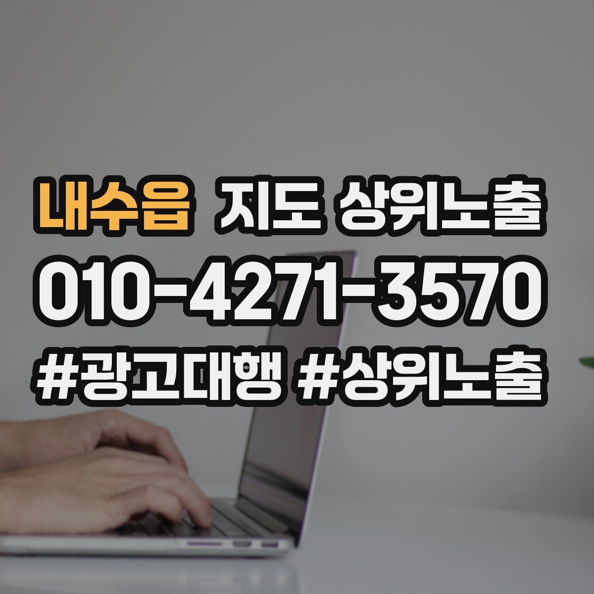 내수읍 지도 상위 노출