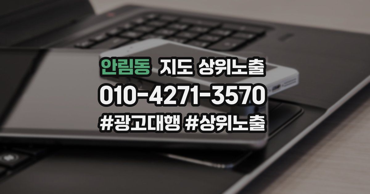 안림동 지도 상위 노출