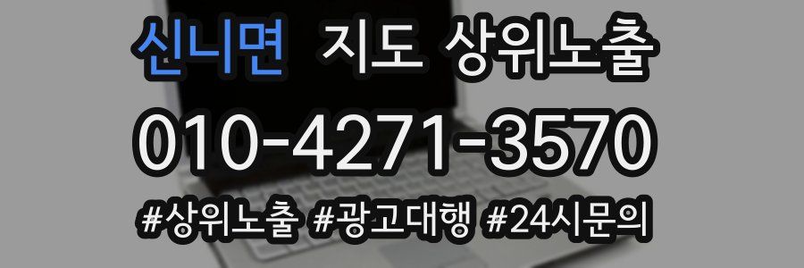 신니면 지도 상위 노출