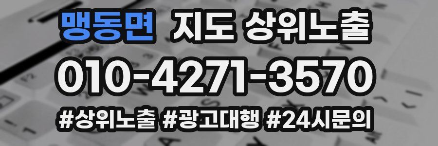 맹동면 지도 상위 노출