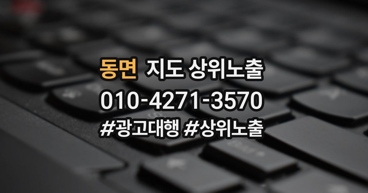 동면 지도 상위 노출