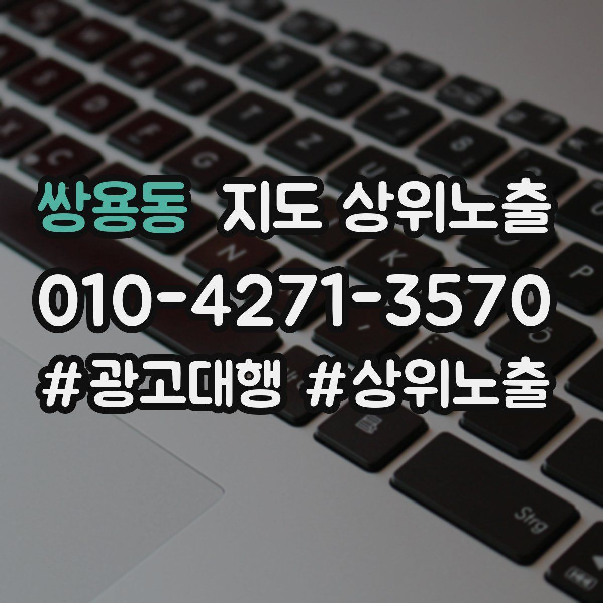 쌍용동 지도 상위 노출