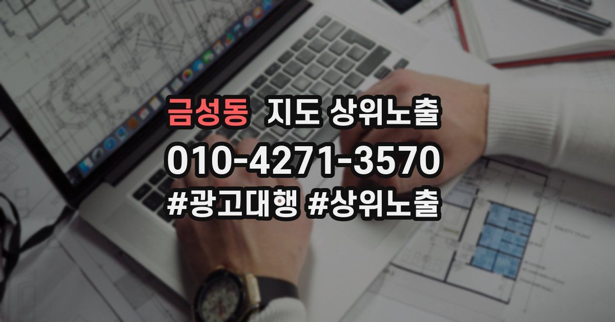 금성동 지도 상위 노출