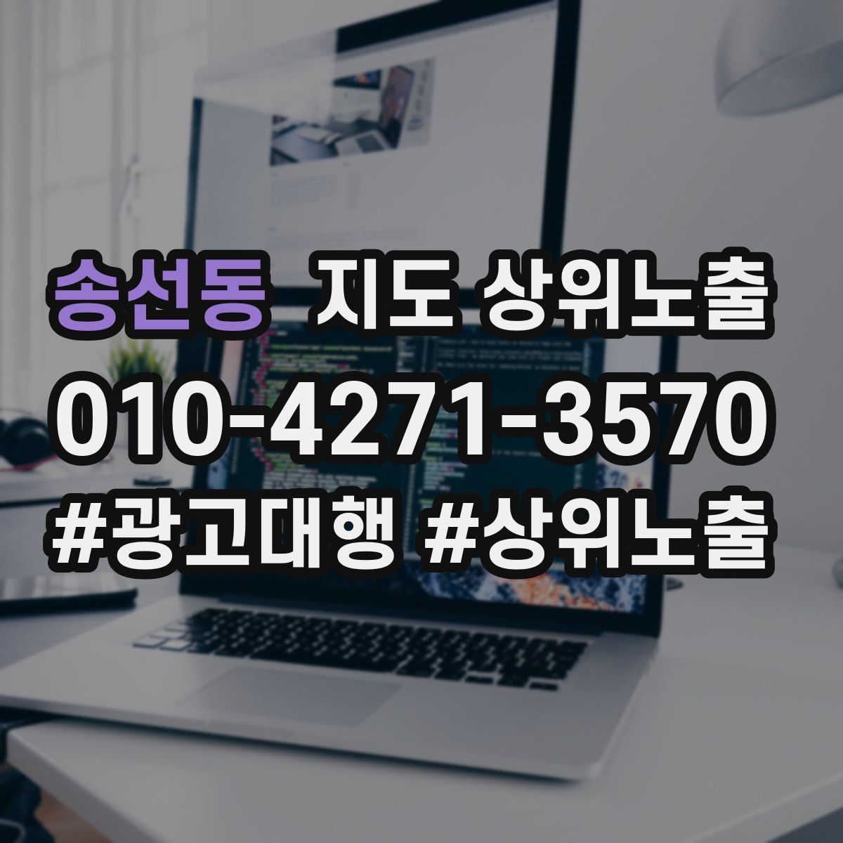 송선동 지도 상위 노출