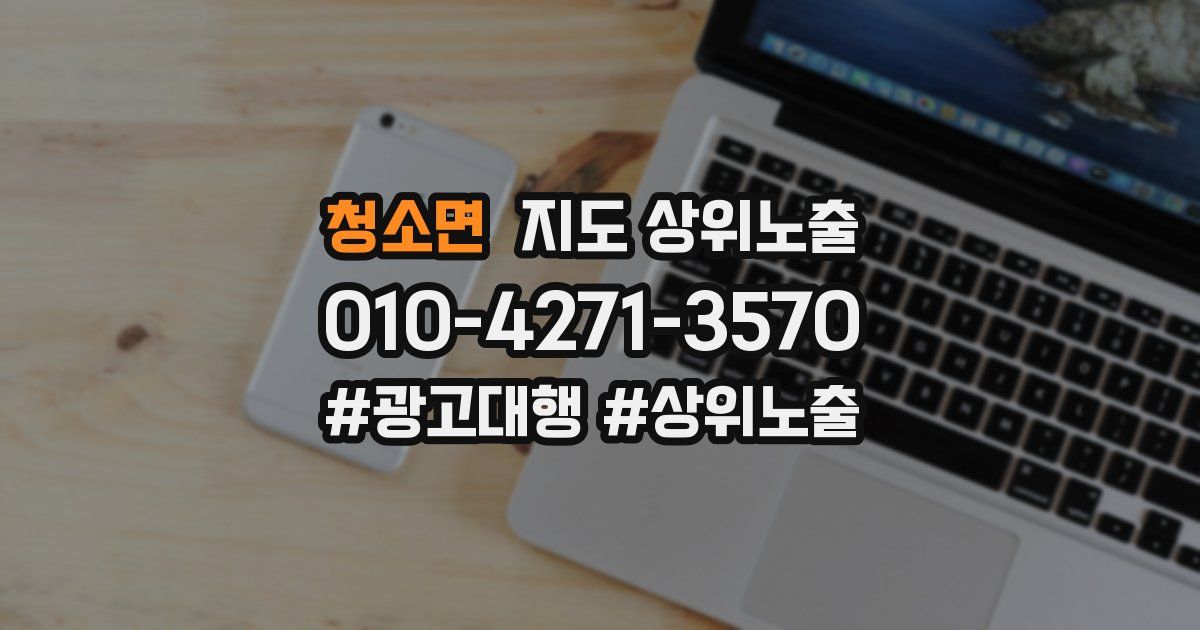 청소면 지도 상위 노출