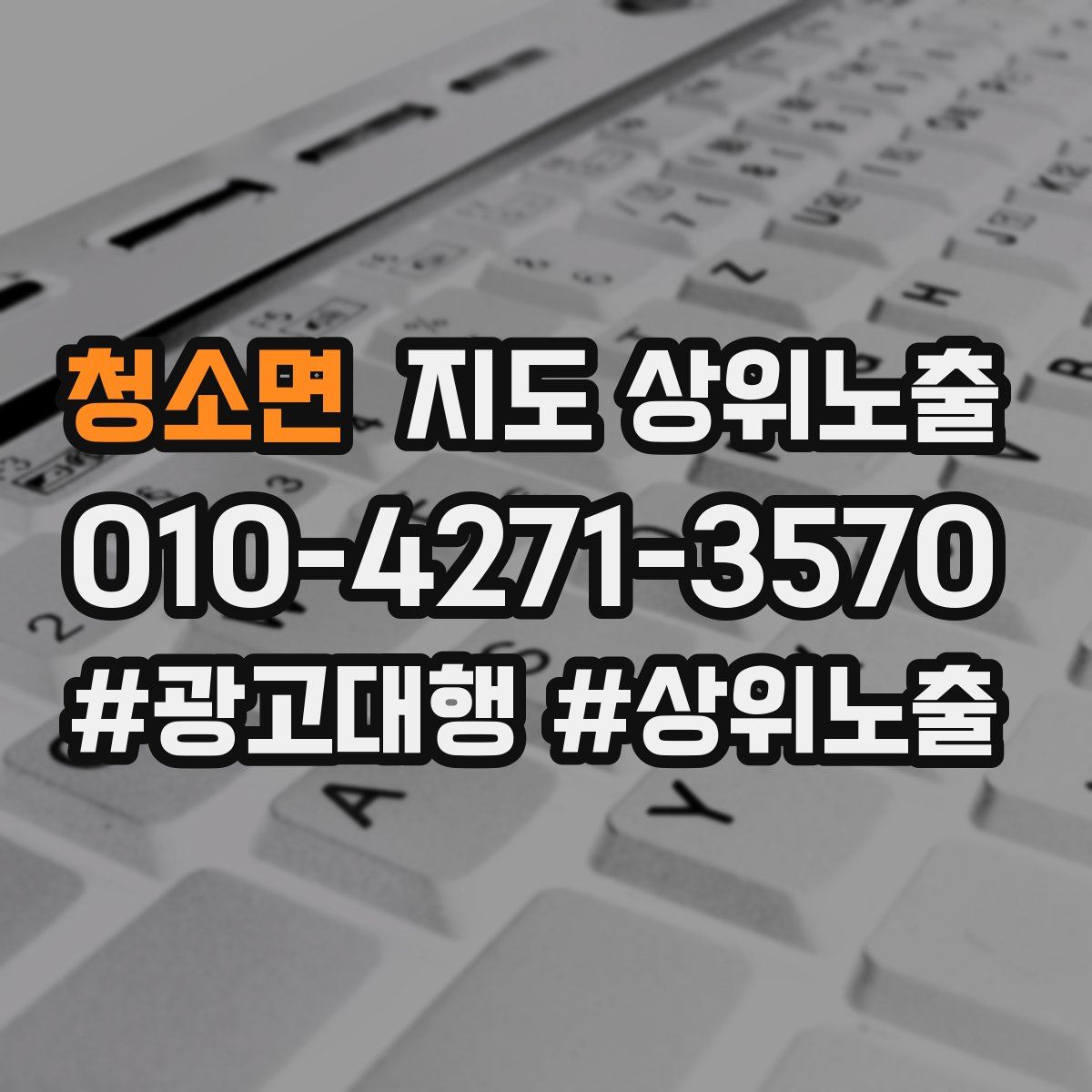 청소면 지도 상위 노출