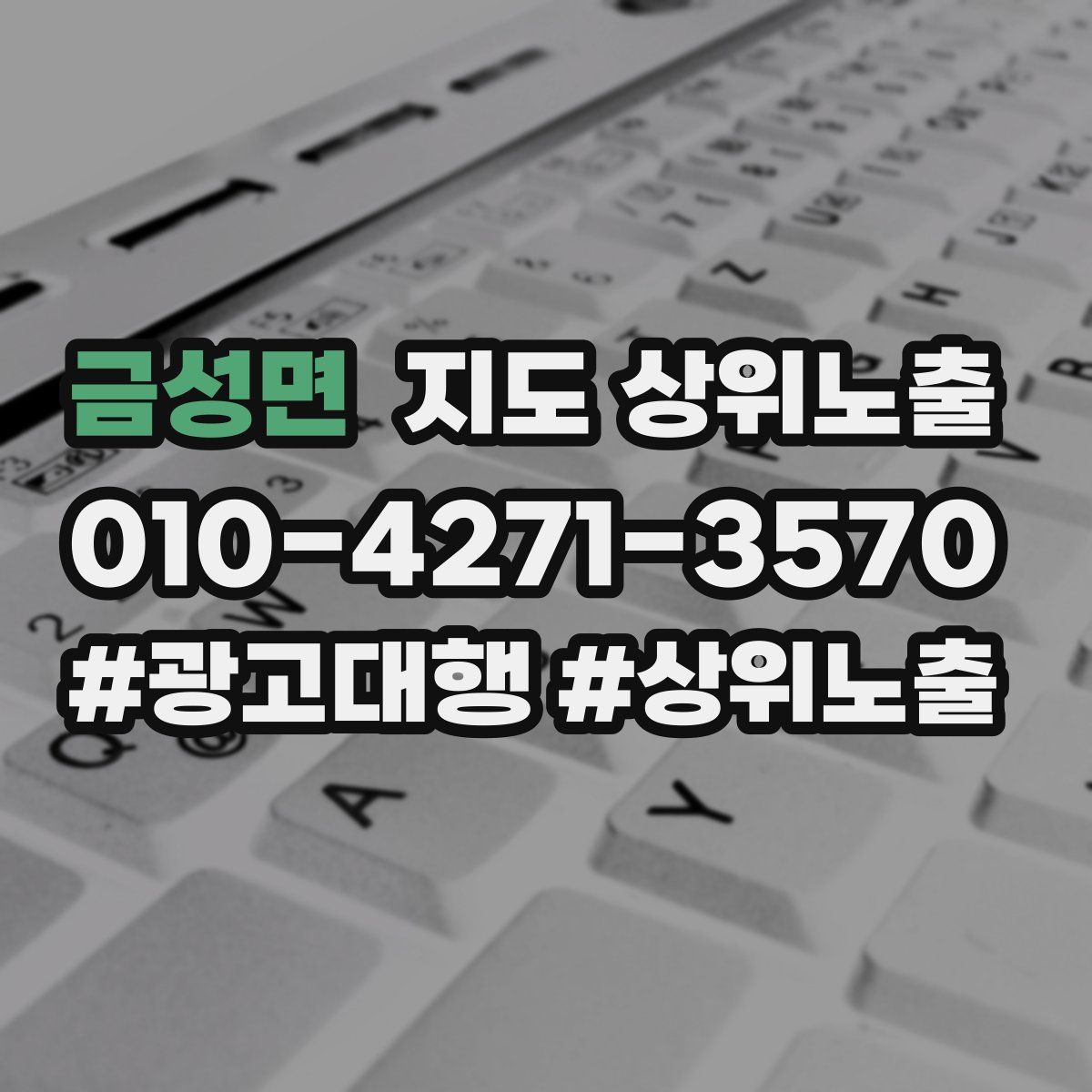 금성면 지도 상위 노출