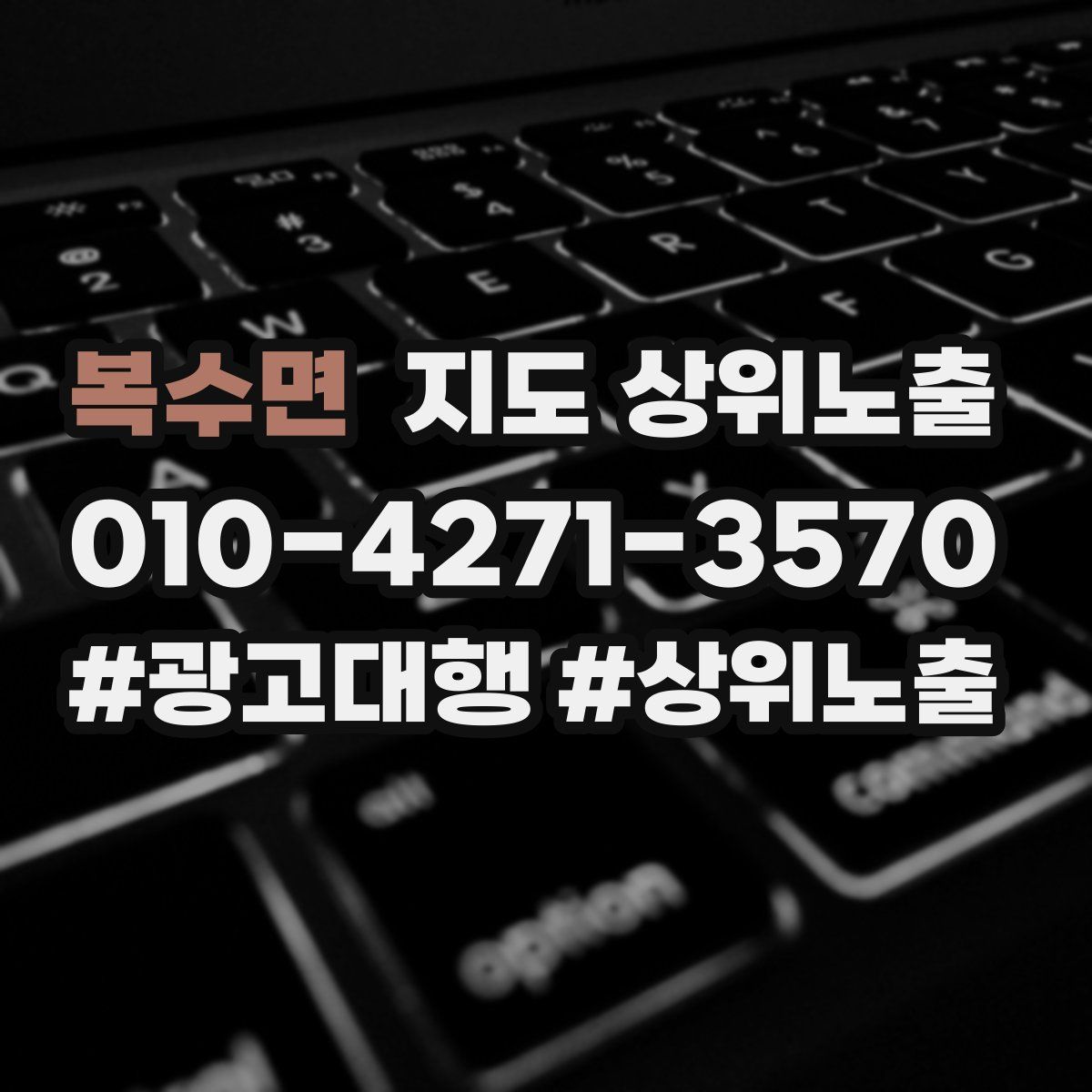복수면 지도 상위 노출
