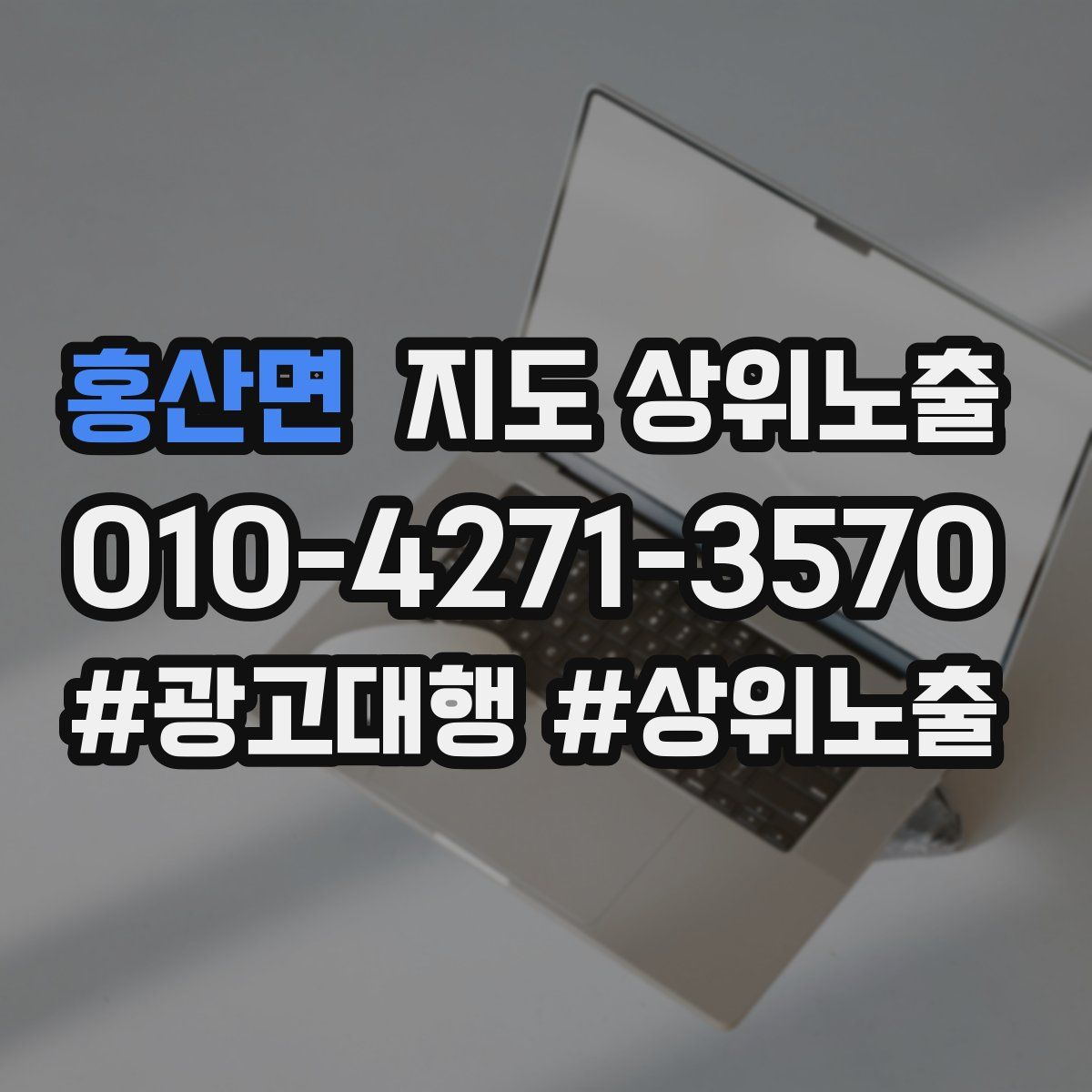 홍산면 지도 상위 노출