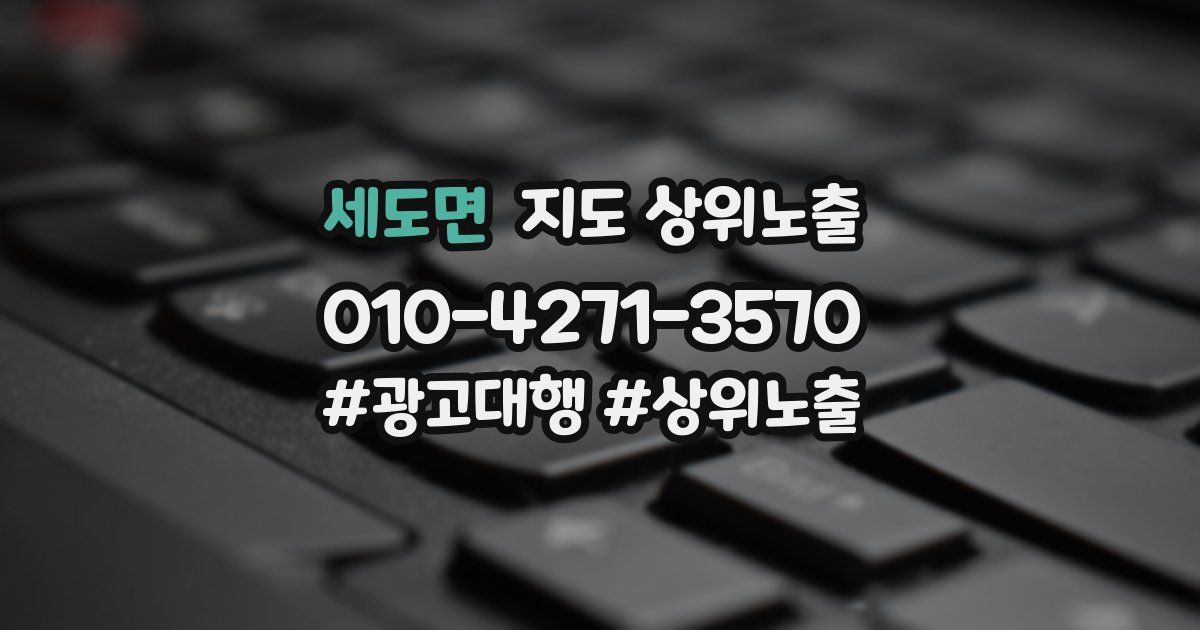 세도면 지도 상위 노출