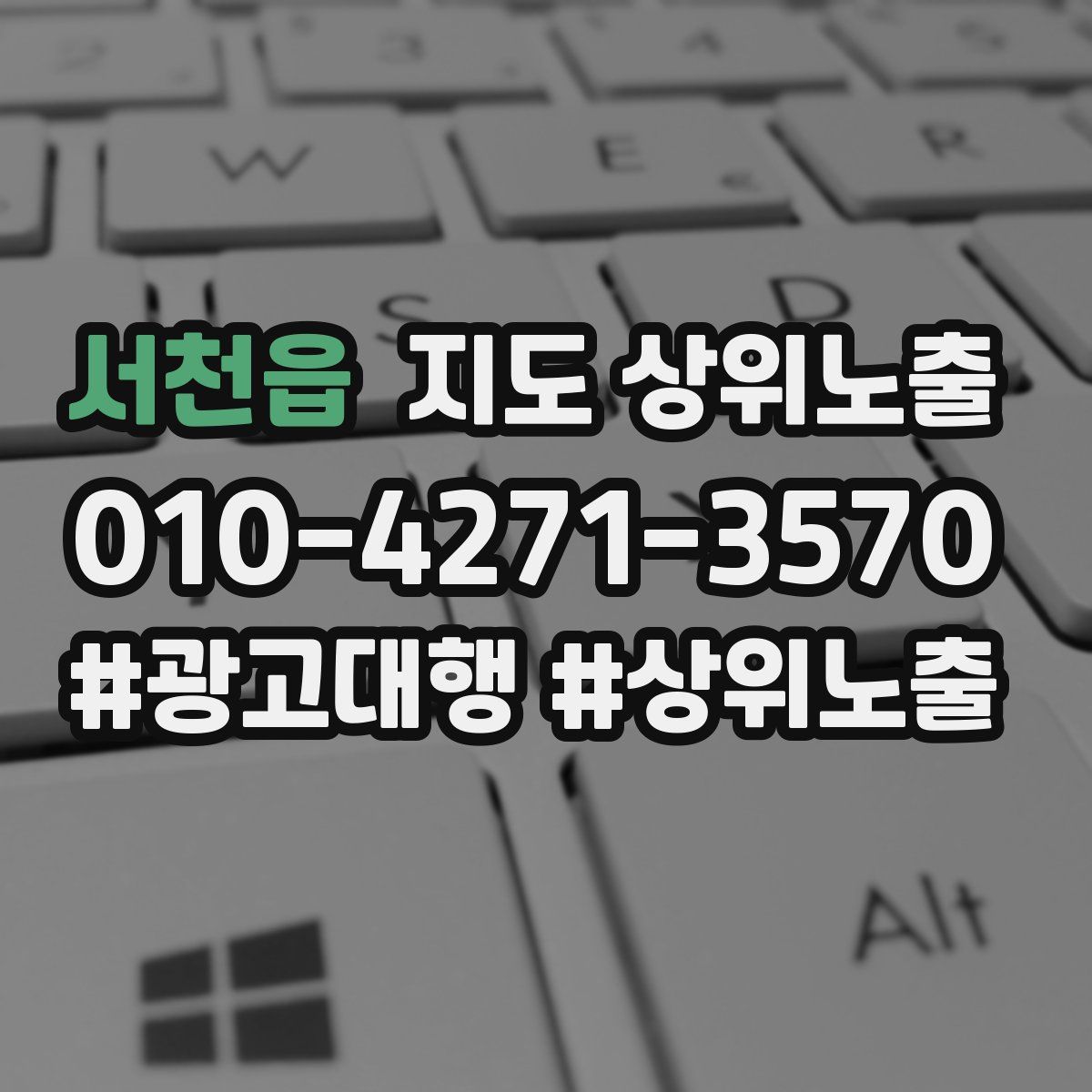 서천읍 지도 상위 노출