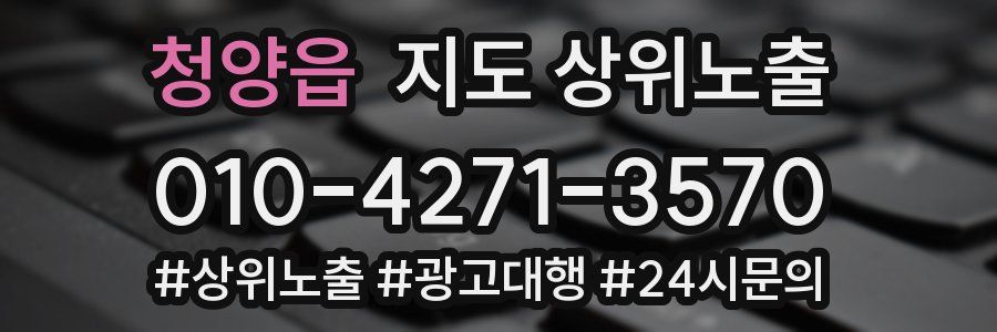 청양읍 지도 상위 노출