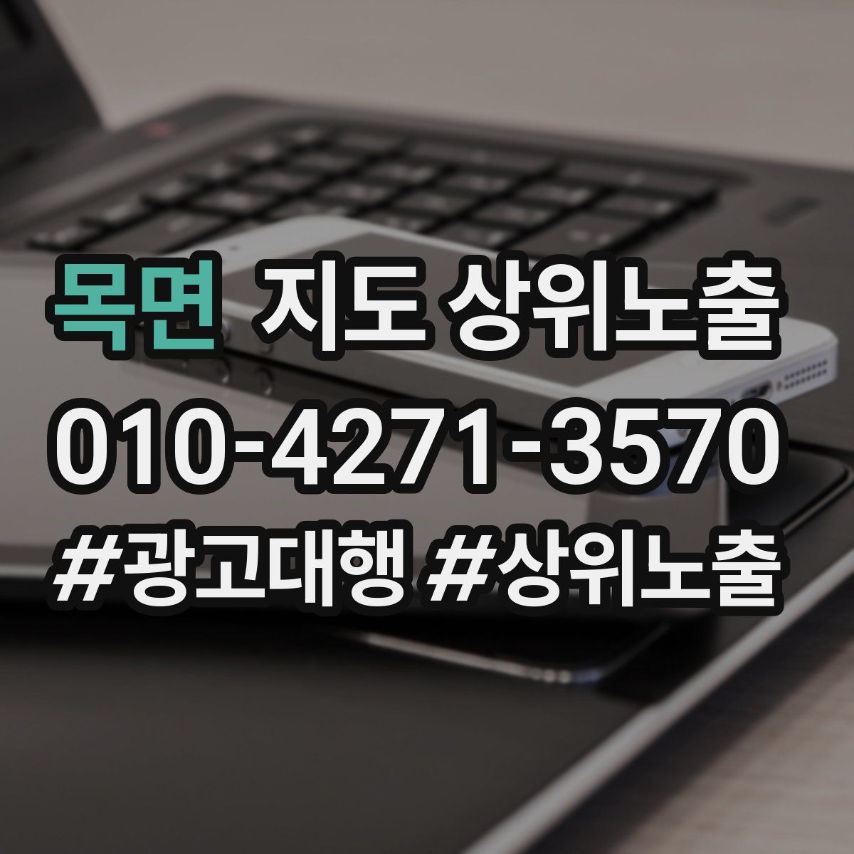 목면 지도 상위 노출