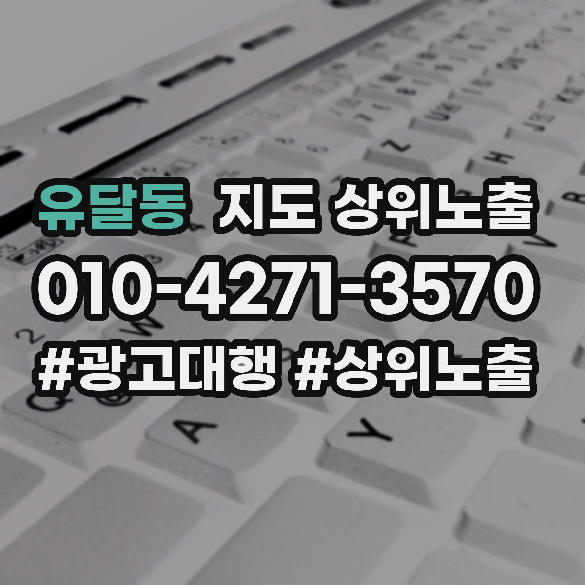 유달동 지도 상위 노출