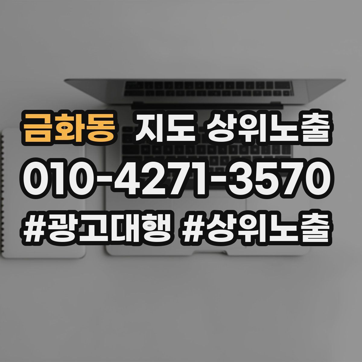 금화동 지도 상위 노출