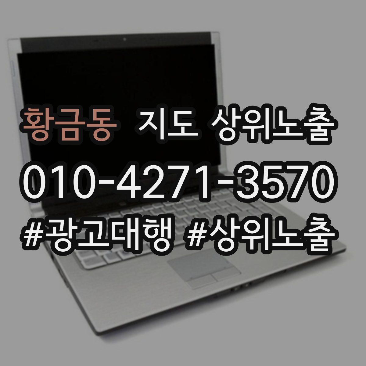 황금동 지도 상위 노출