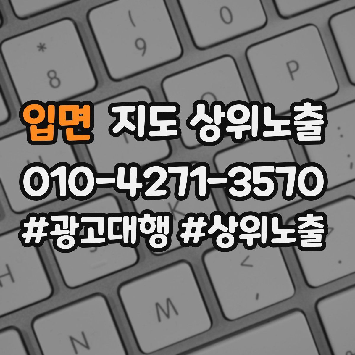 입면 지도 상위 노출