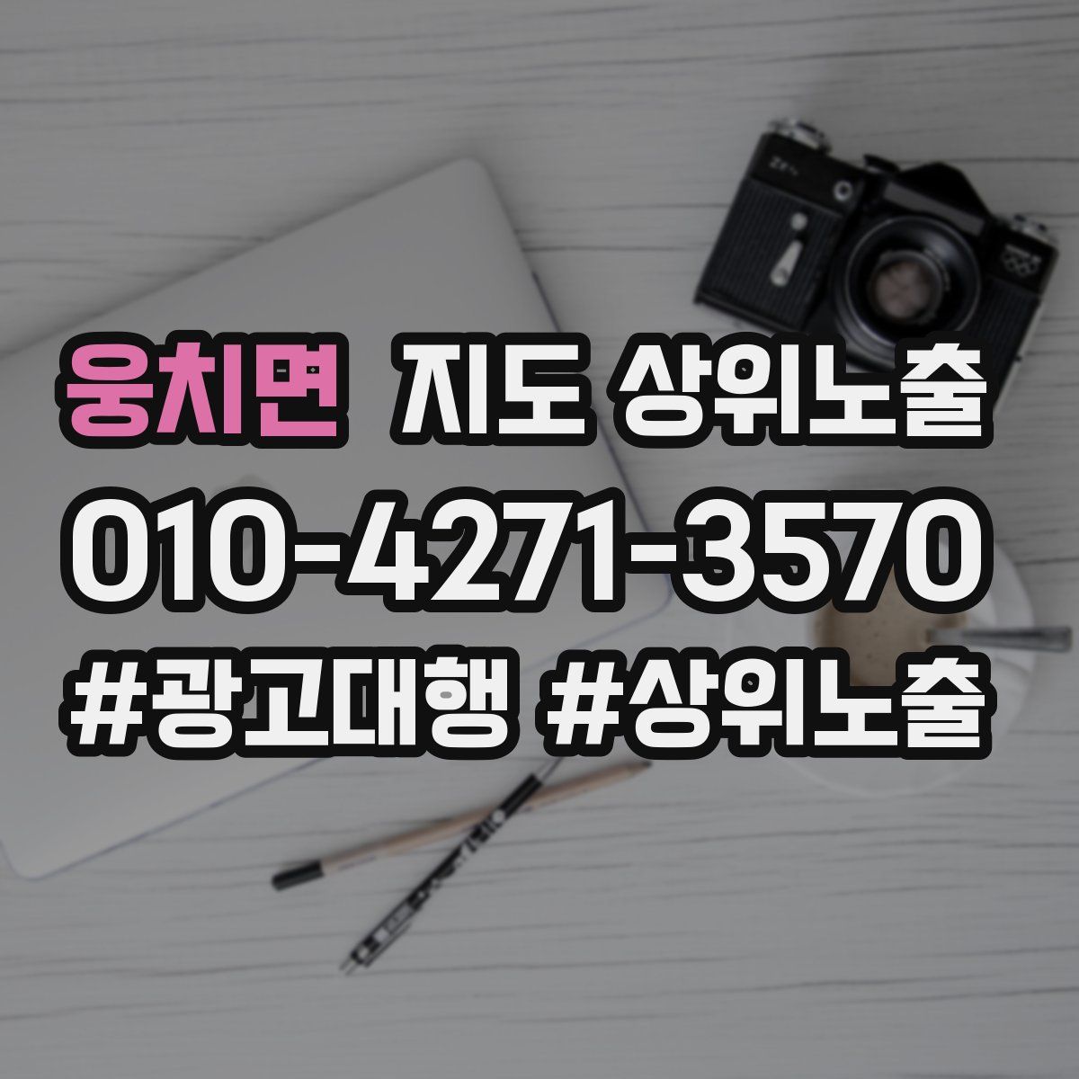 웅치면 지도 상위 노출