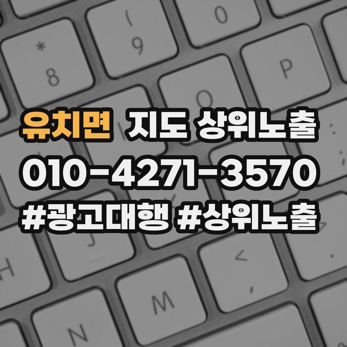 유치면 지도 상위 노출