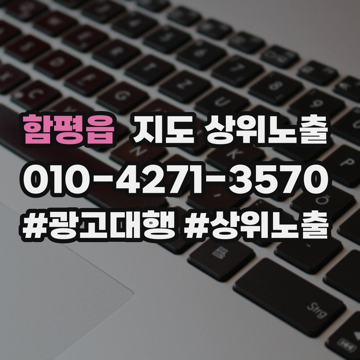 함평읍 지도 상위 노출
