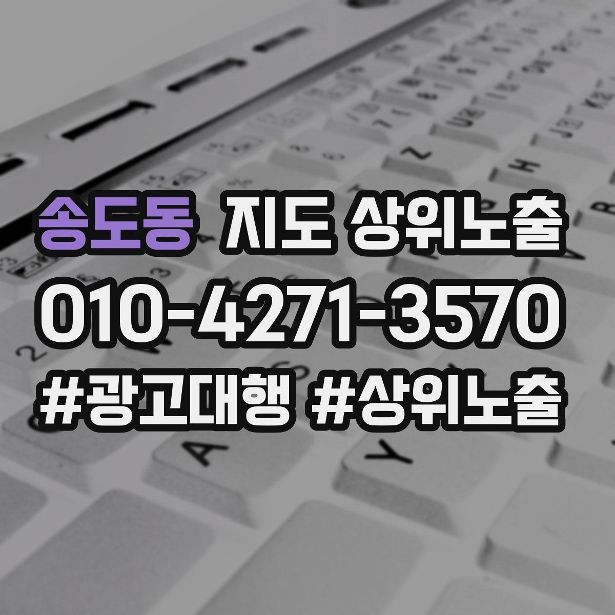 송도동 지도 상위 노출