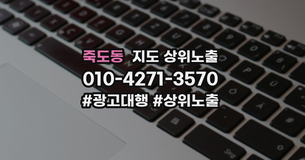 죽도동 지도 상위 노출