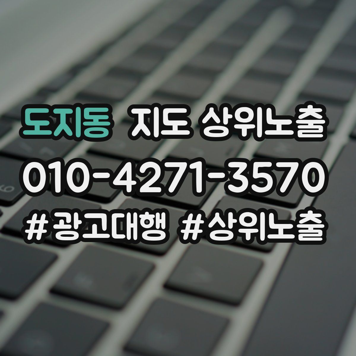 도지동 지도 상위 노출