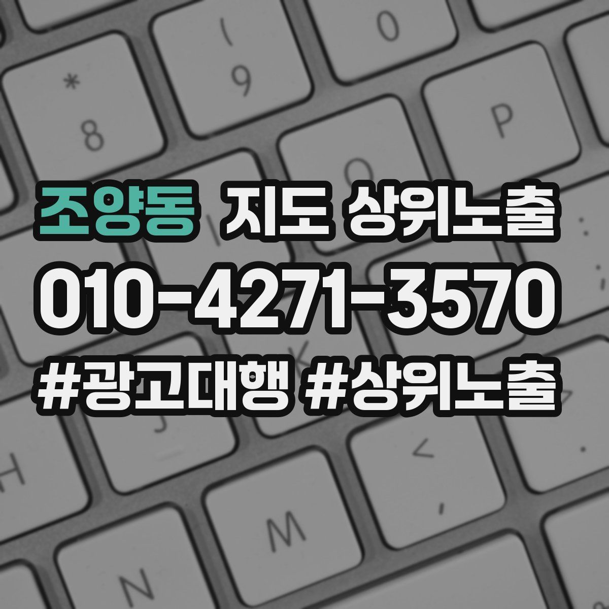 조양동 지도 상위 노출
