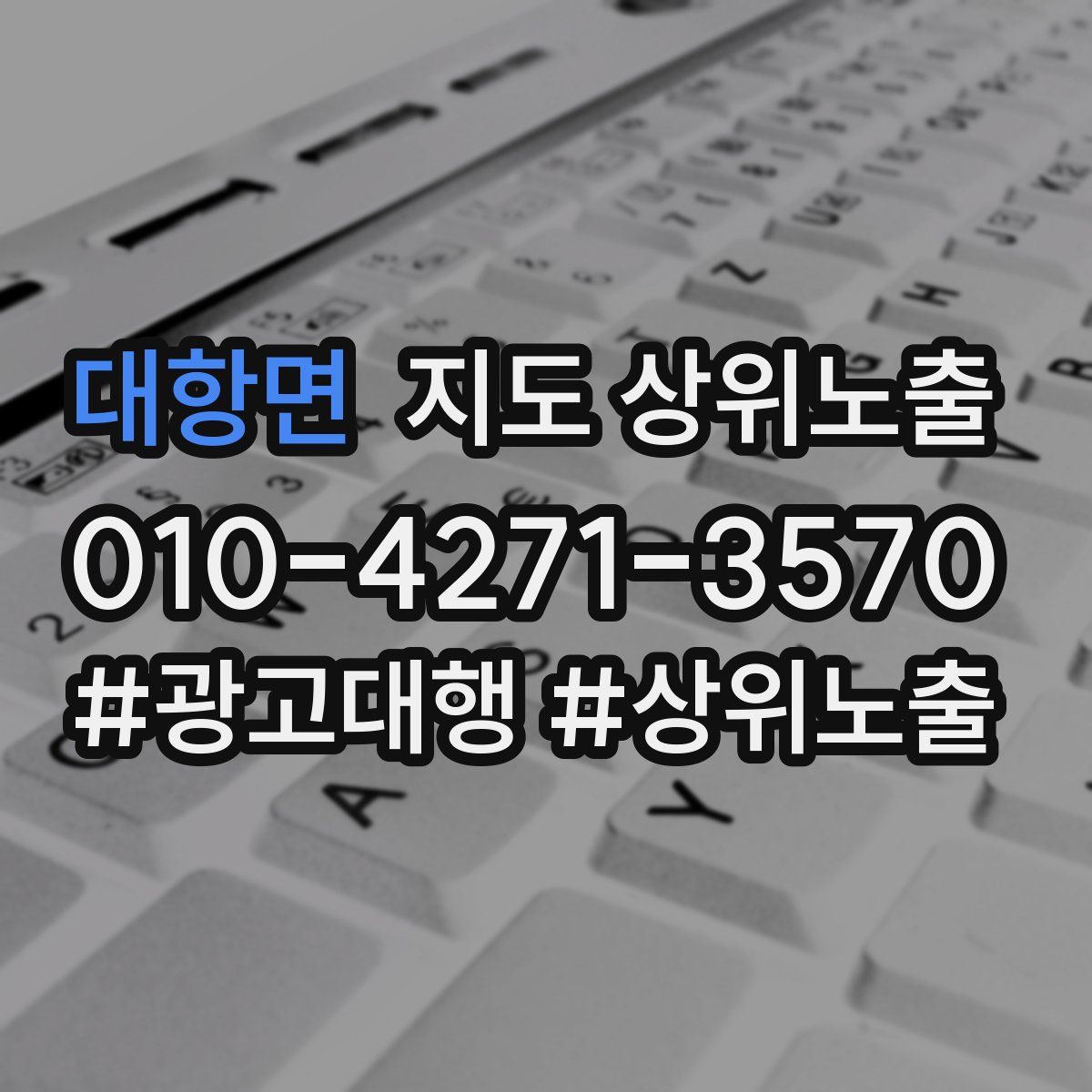 대항면 지도 상위 노출