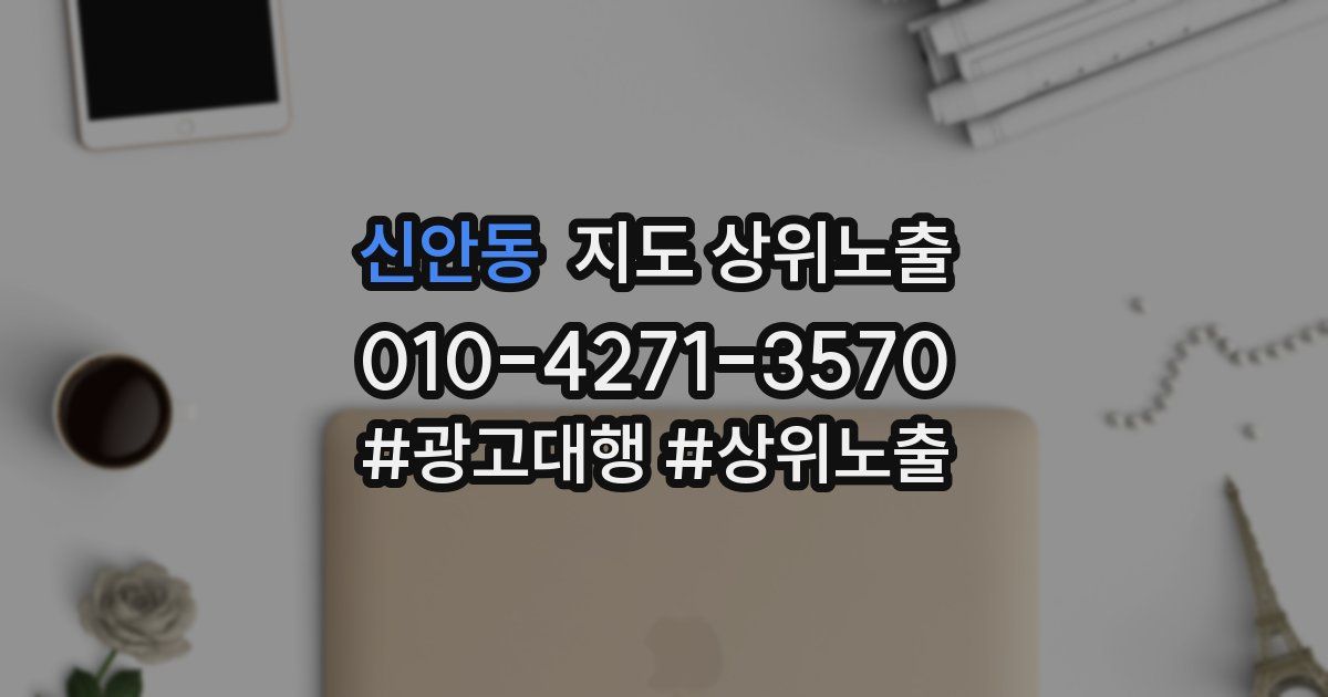 신안동 지도 상위 노출