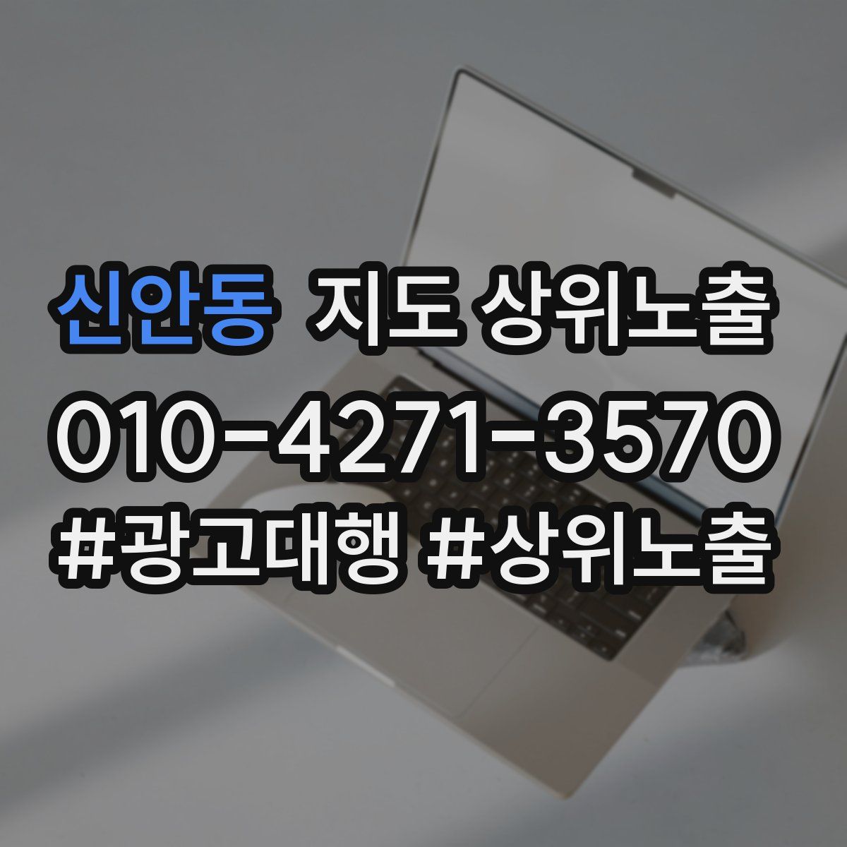 신안동 지도 상위 노출