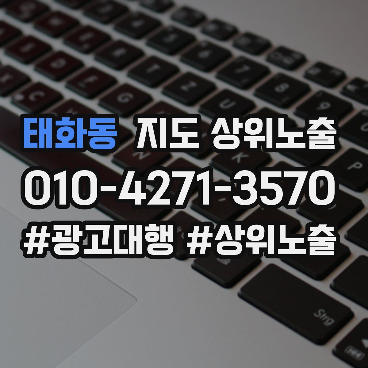 태화동 지도 상위 노출