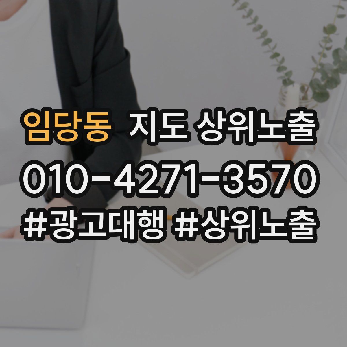 임당동 지도 상위 노출