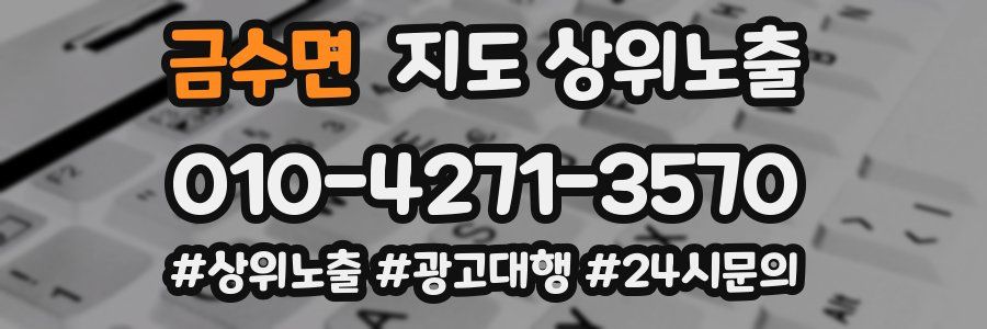 금수면 지도 상위 노출