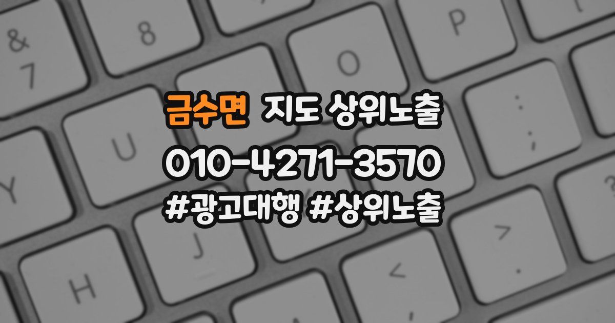 금수면 지도 상위 노출